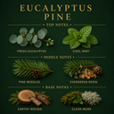 Eucalyptus Pine 3-Wick Candle — view 6