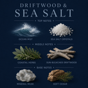 Driftwood & Sea Salt 3-Wick Candle